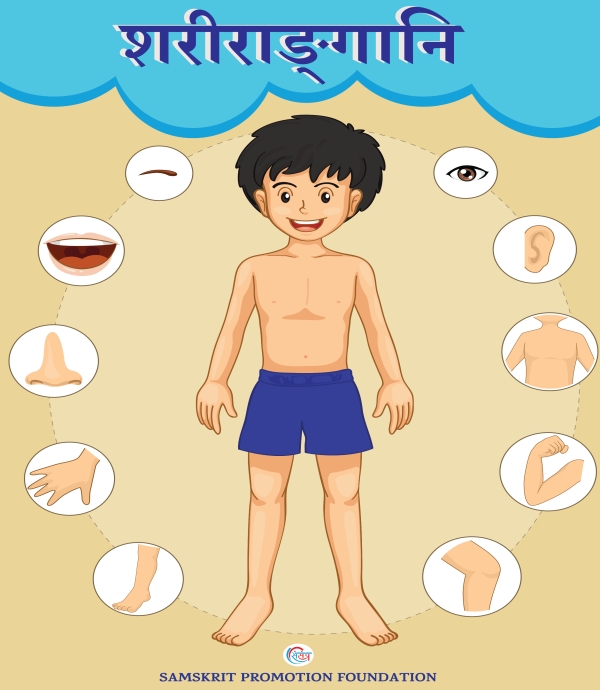Sharirasya Angani (Body Parts Game)